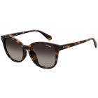 Ochelari de soare Polaroid Femeie Cat Eye PLD 4089/F/S 086