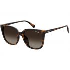 Ochelari de soare Polaroid Femeie Patrati PLD 4083/F/S 086 LA DARK HAVANA